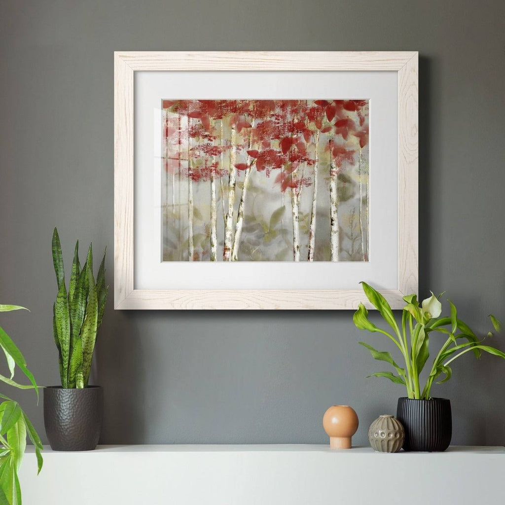 Grey Framed Print F912