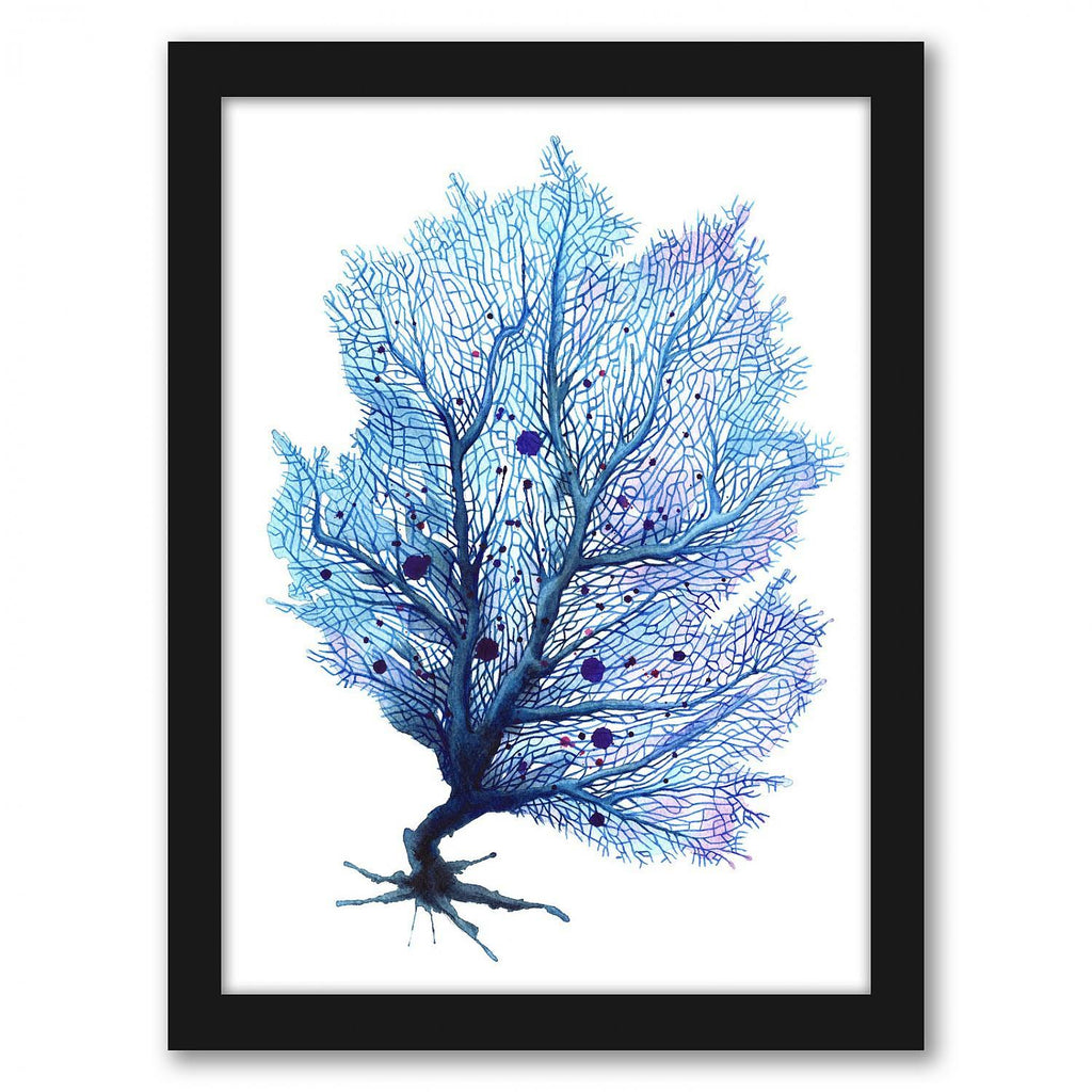Blue Fan Coral Print in Black Frame V417
