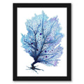 Blue Fan Coral Print in Black Frame V417