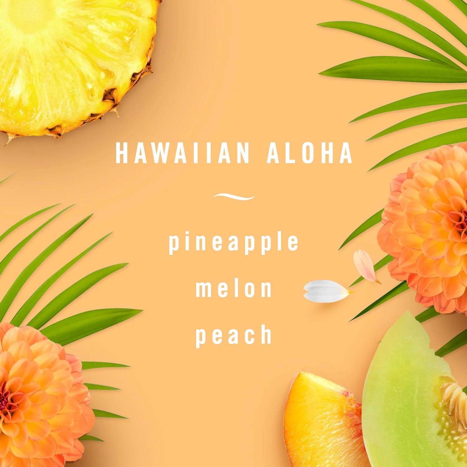 Hawaiian Aloha Air Freshener, .25 oz, 2 count A3914