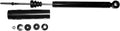 OESpectrum Light Truck Shock Absorber Pack of 2 K37331