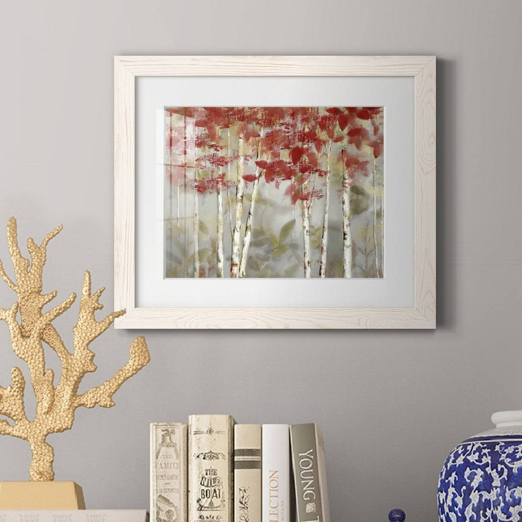 Grey Framed Print F912