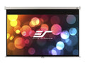 Projection Screen C9480