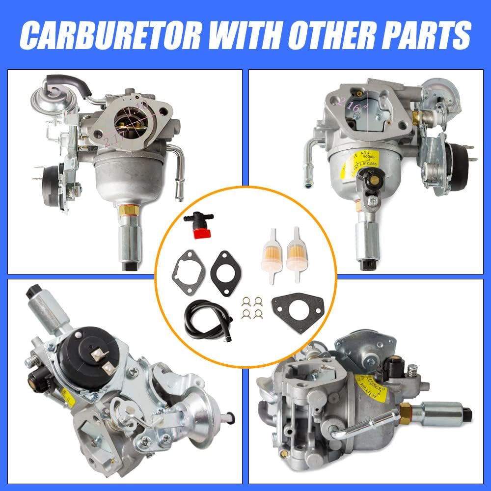RV Carburetor Kit Pack of 2 F86480