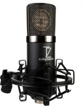 Vintage Large-Diaphragm Cardioid Condenser XLR Microphone H189