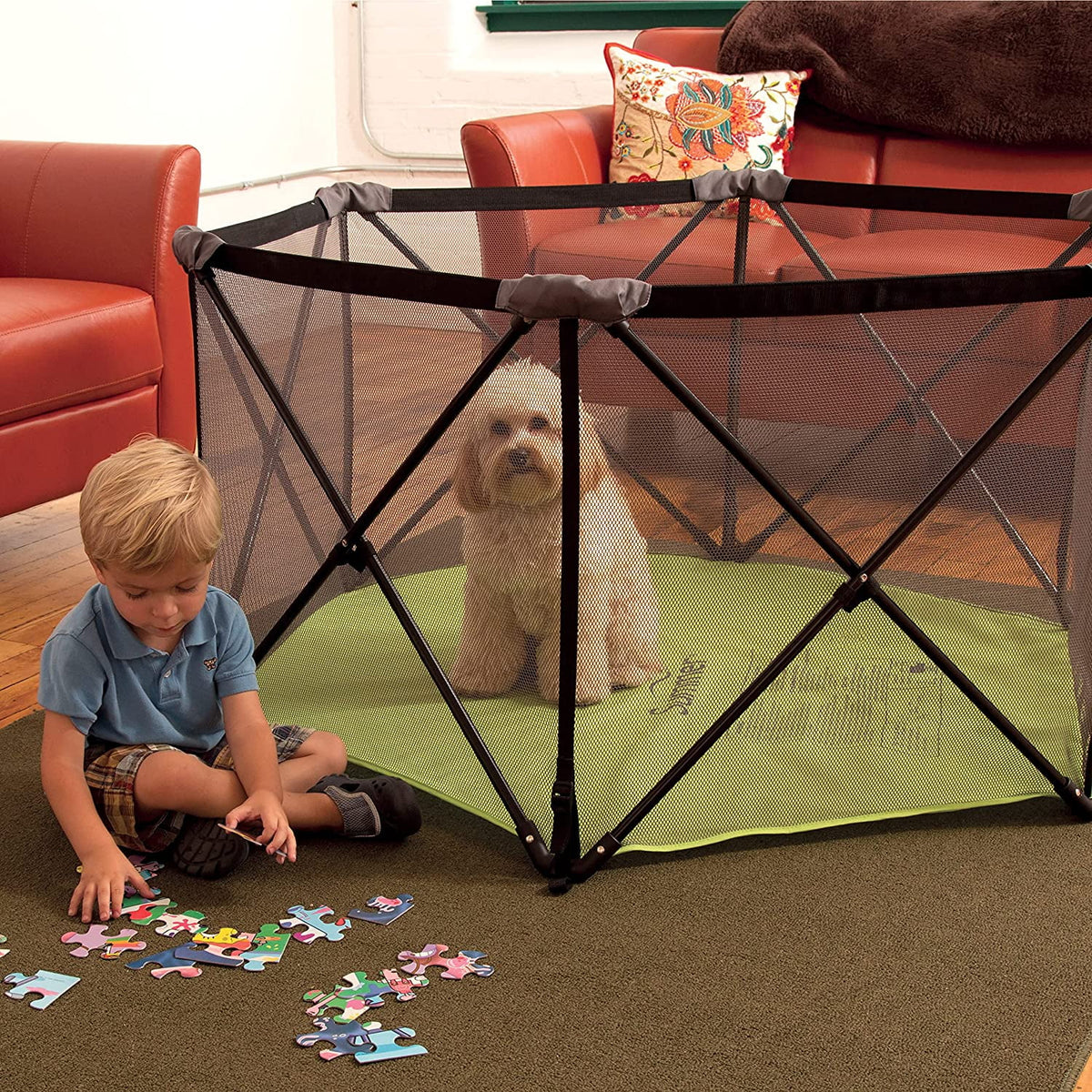 Portable Playard with Compact Fold N733