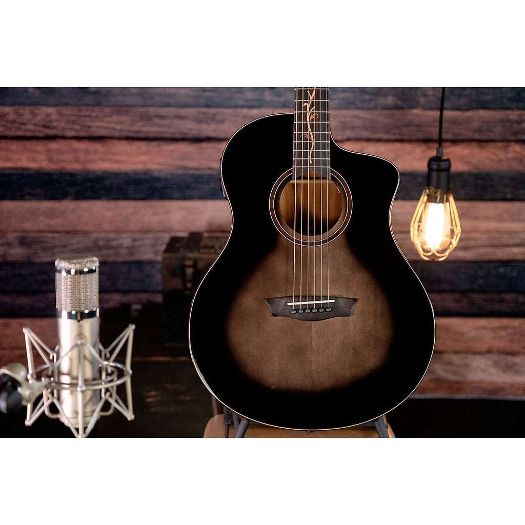 Charcoal Burst Gloss Guitar D6010
