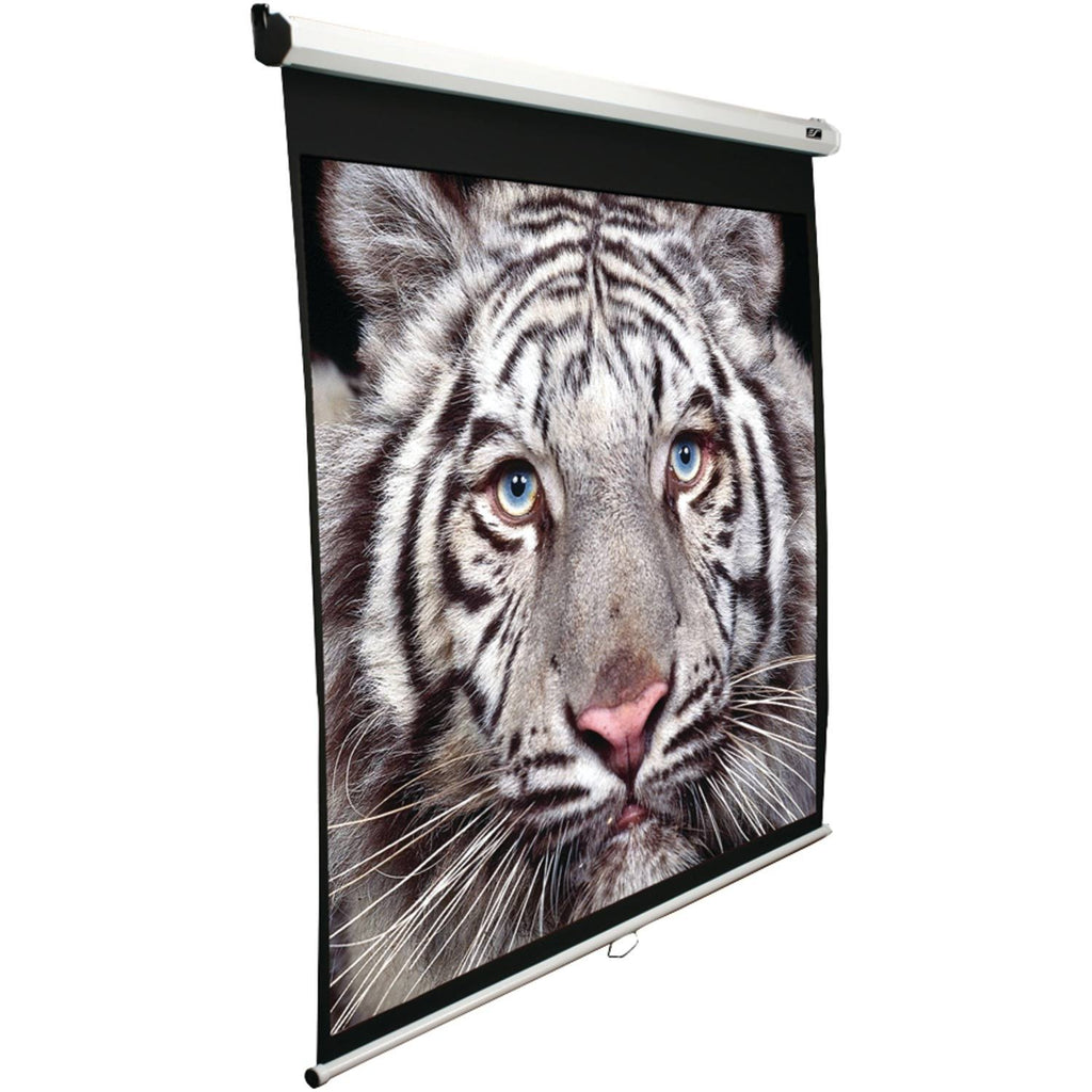 Manual B Series M100H Projection Screen A6225