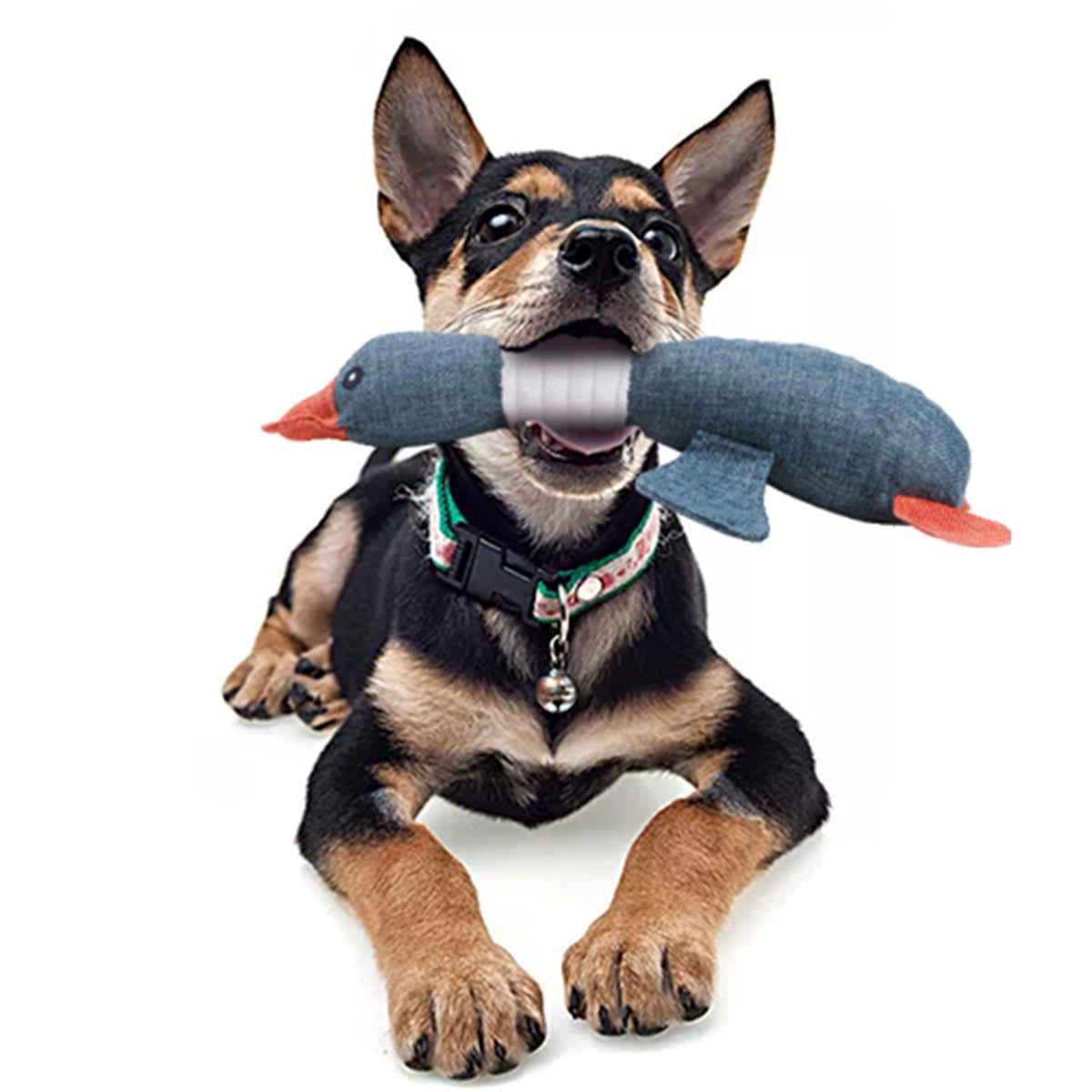 5 Pack Dog Squeaky Plush Toys C99616