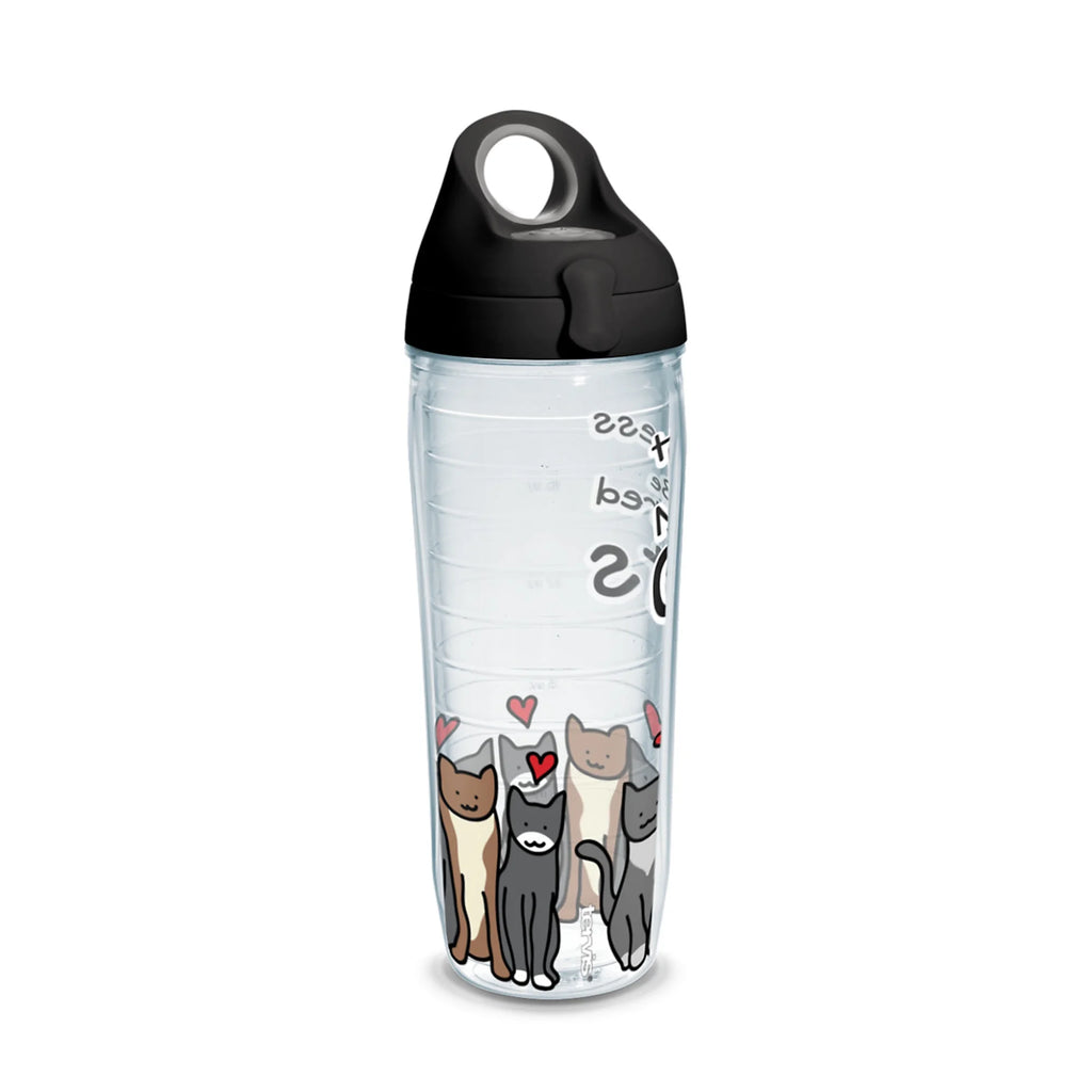 24 oz Water Bottle with Lid, 2 Pack Q582
