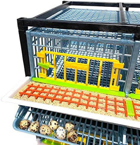 2 Layer ABS Plastic Quail Cage J976074