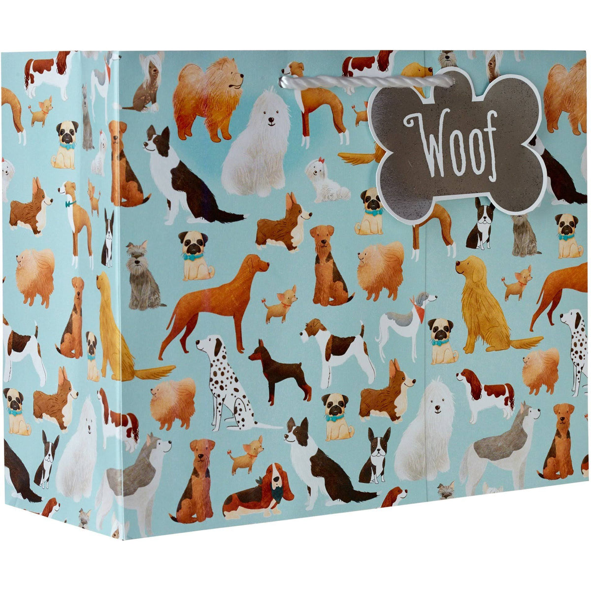 Large Matte Gift Bags with Foil (60 Pieces) L64412