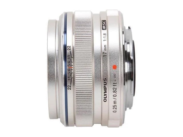 Silver Wide-Angle Prime Lens for Micro Four-Thirds Interchangeable Lens Cameras J706689
