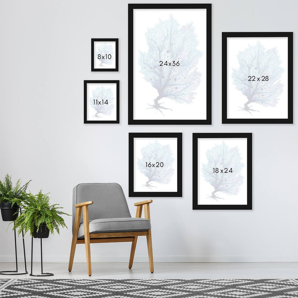 Blue Fan Coral Print in Black Frame V417