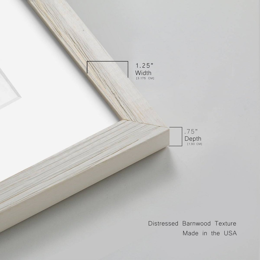 Grey Framed Print F912