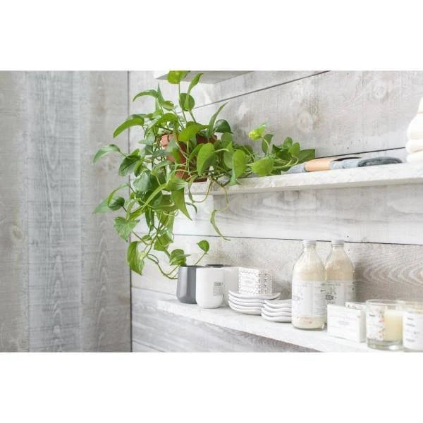 1 in. x 4 in. x 6 ft. Barn Wood Pine Board White Wash (6 per Box) K93465