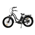 Matte Black 750W Fat Tire Electric Bike Y9636
