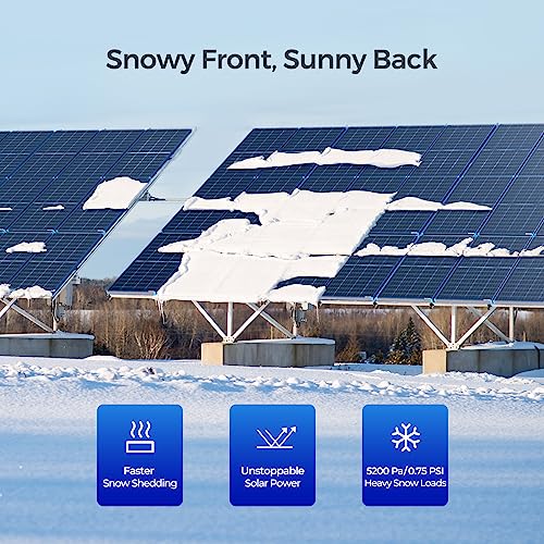 250W Bifacial Solar Panel W5920