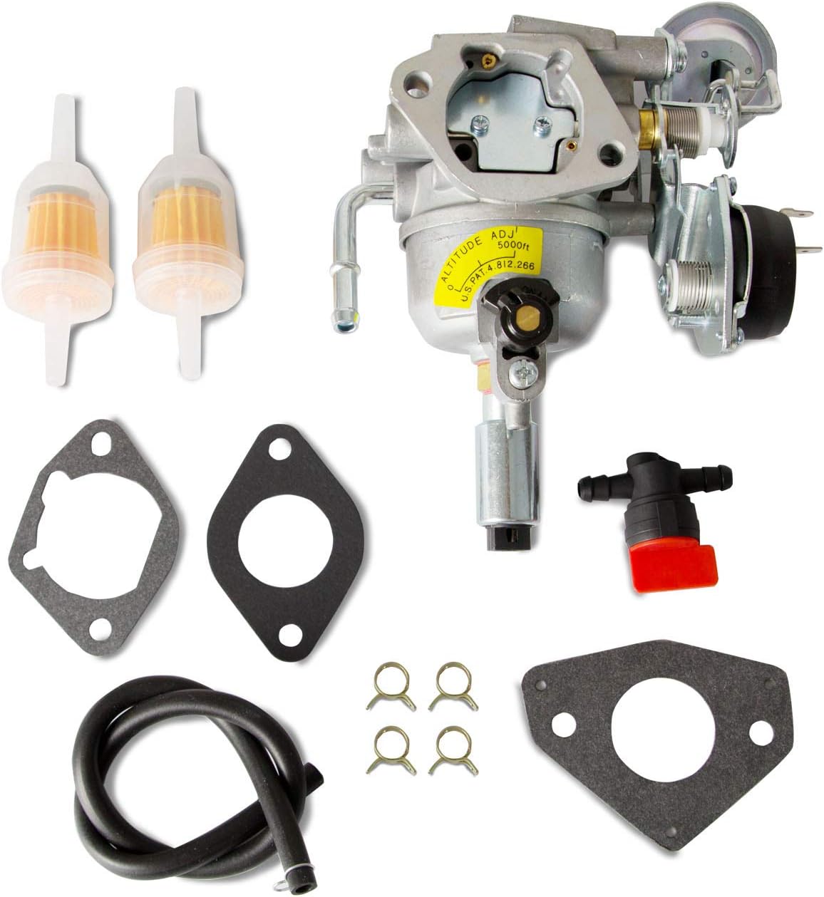 RV Carburetor Kit Pack of 2 F86480