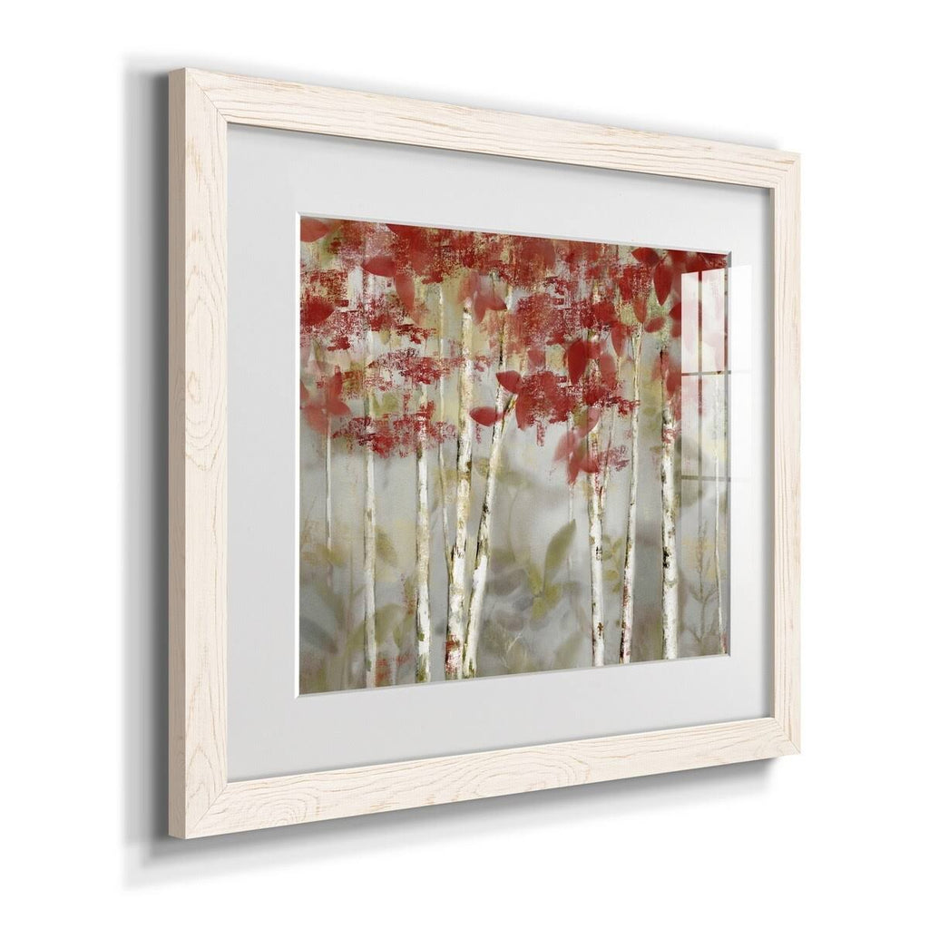 Grey Framed Print F912