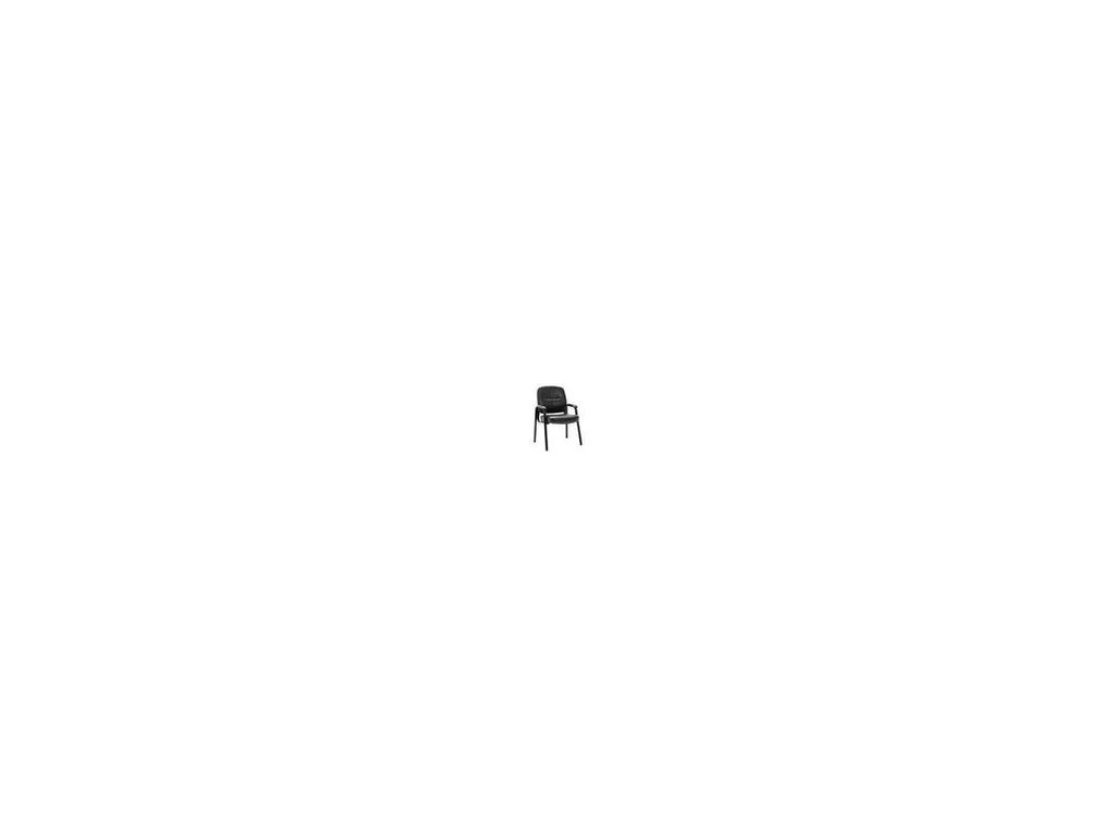 Executive Leather Guest Chair W35497