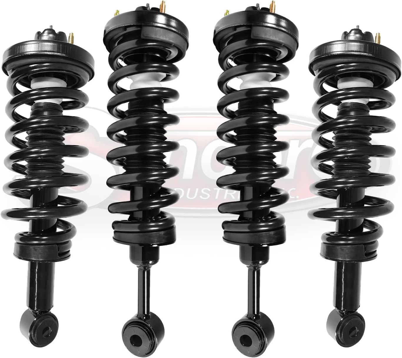 Air Ride Suspension Complete Struts Conversion Kit U712
