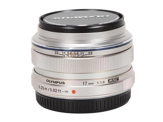 Silver Wide-Angle Prime Lens for Micro Four-Thirds Interchangeable Lens Cameras J706689