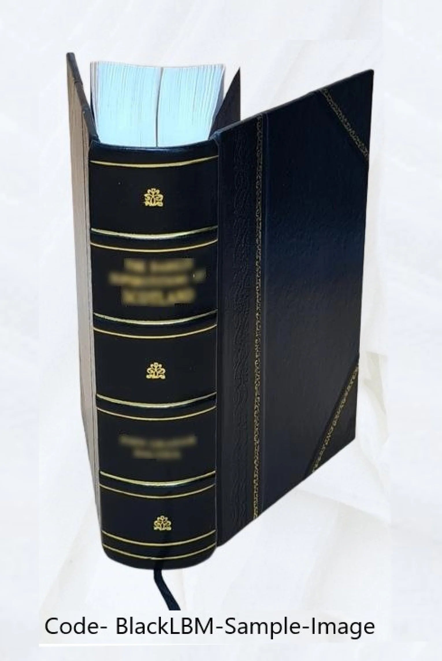 Canoes of Oceania Volume 1-3 1936 Leather Bound T785597