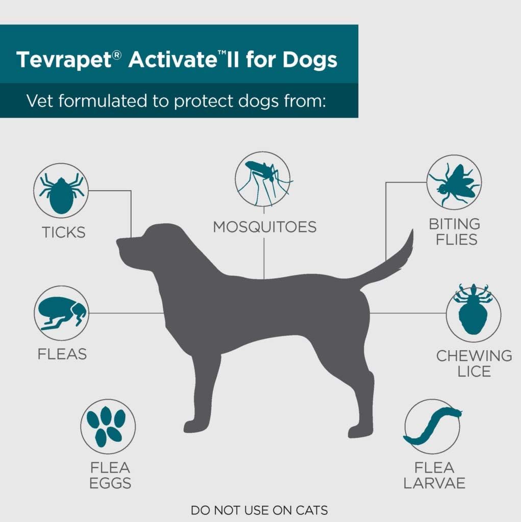 Flea and Tick Prevention for Dogs, Small 4-10 lbs, 8 Monthly Doses, Clear Pack of 2 U79325