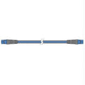 Blue Backbone Cable Kit B631