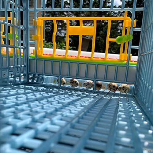 2 Layer ABS Plastic Quail Cage J976074