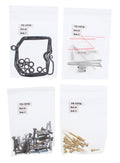 Carburetor Rebuild Kit V39120