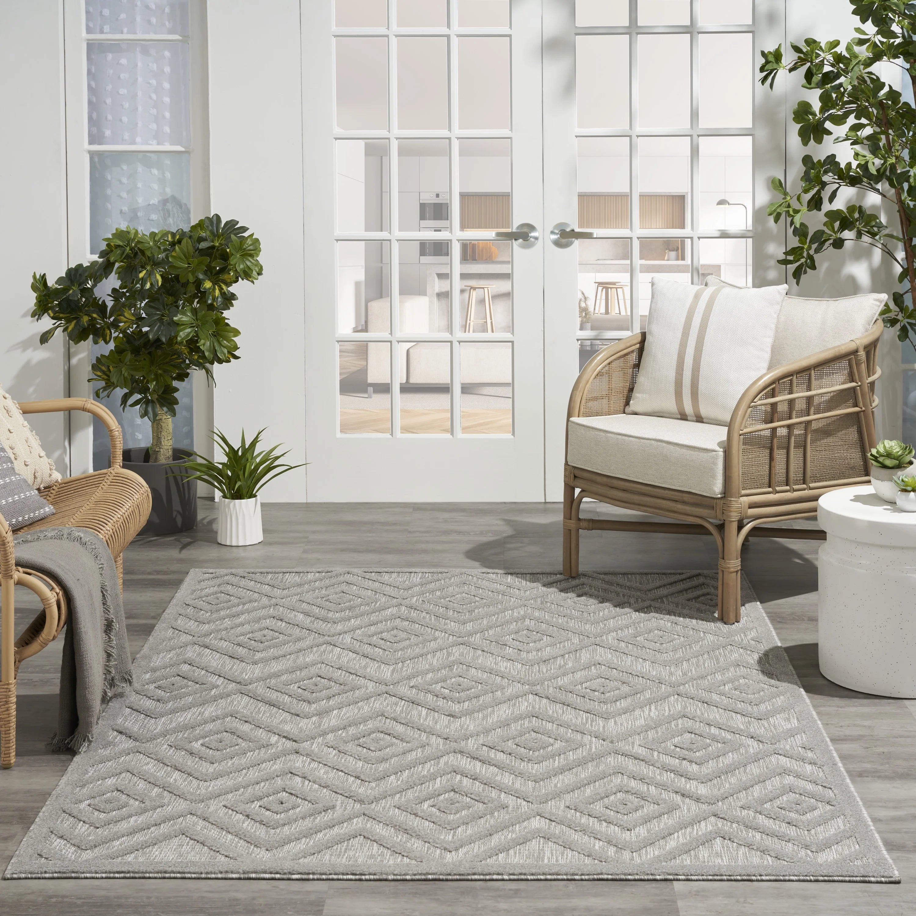 Silver Grey 6' x 9' Area Rug S844