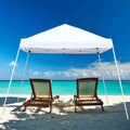10 x 10 Pop Up Canopy Tent N44070