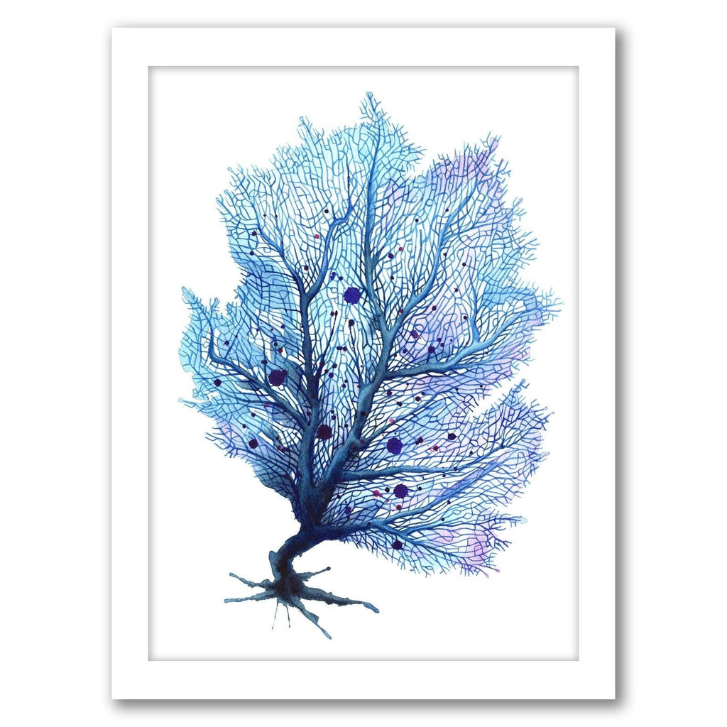 Blue Fan Coral Print in Black Frame V417