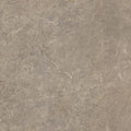 Cotton in Gray Laminate Sheet C689886