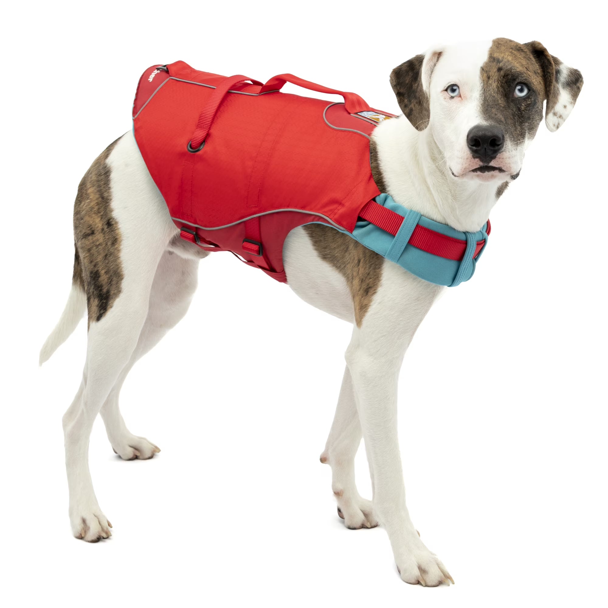 Chili Red Reflective Dog Life Jacket (Medium) T504771