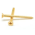 Brass Wood Screw Phillips Flat Head Pk 50 Y870070