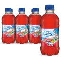 Fruit Juicy Red Juice, 10 fl oz, 6 Count Bottles G970056