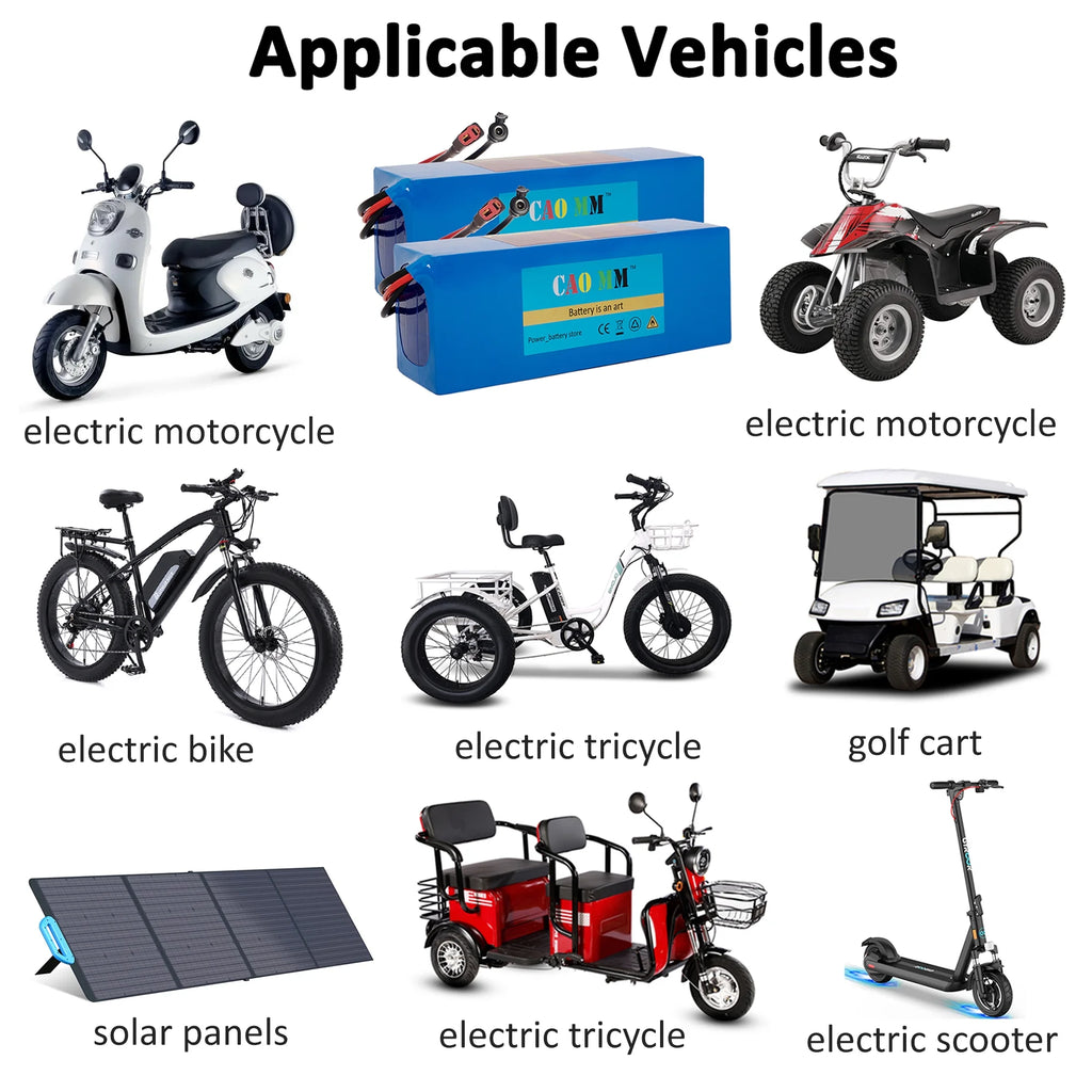 48V 14Ah Lithium ion Ebike Battery with 30A BMS and 2A Charger D8409